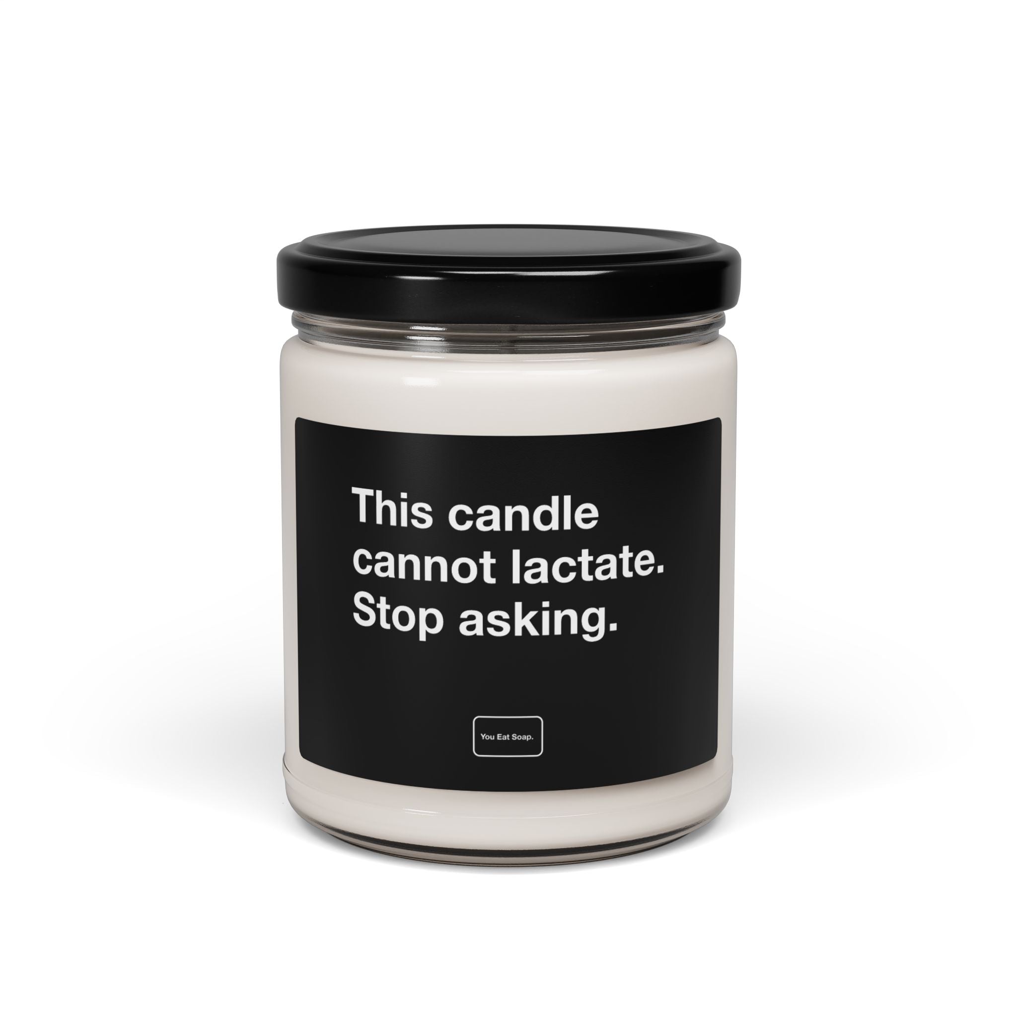 This candle cannot lactate. Stop asking. — 9oz soy candle